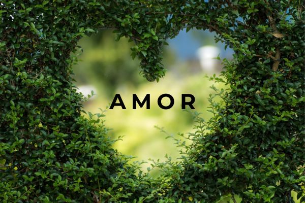 Frases de Amor